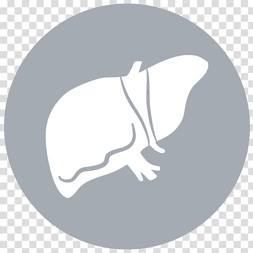 Liver cancer Organ transplantation Liver transplantation, kidney transparent background PNG clipart