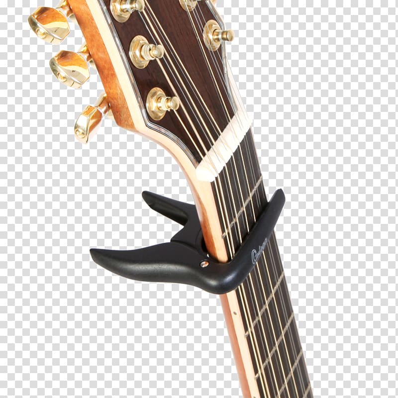 Musical Instruments Bass guitar String Instruments Acoustic guitar, amancio ortega transparent background PNG clipart