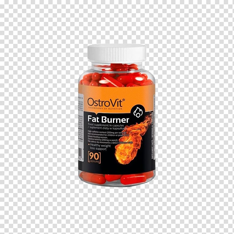 Dietary supplement Fat emulsification Bodybuilding supplement Levocarnitine, fat burner transparent background PNG clipart