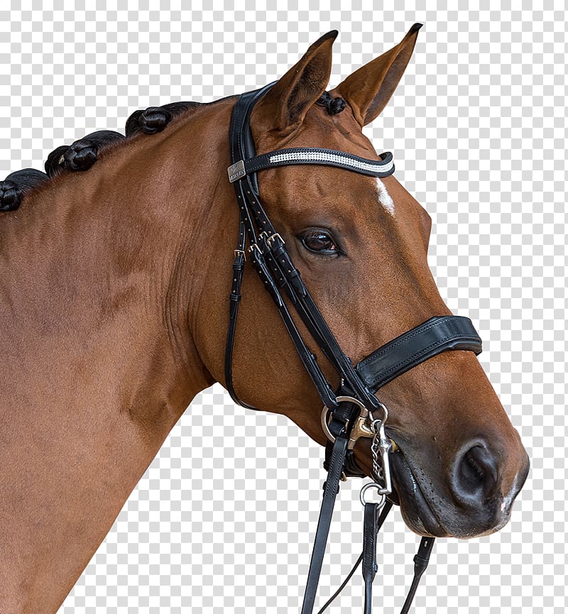Horse Bridle Halter Saddle Rein, horse transparent background PNG clipart