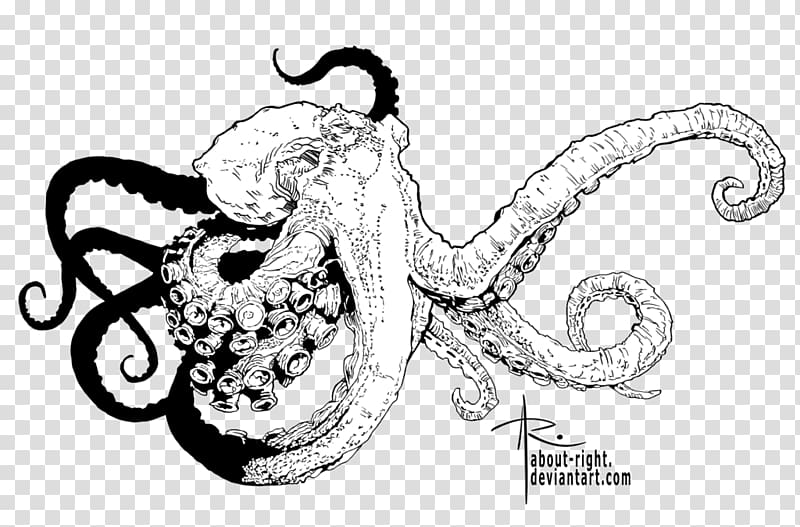 Octopus Line art Drawing Visual arts, octopus Drawing transparent background PNG clipart