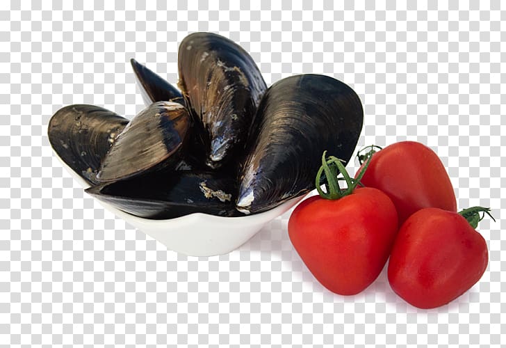 Blue mussel Clam Bivalvia Food, others transparent background PNG clipart