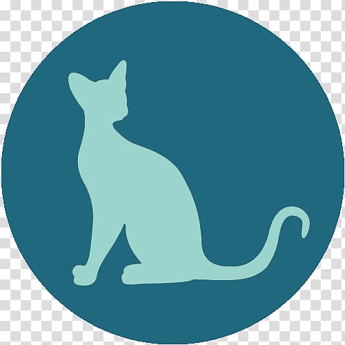 Whiskers Cat Dog Visual perception Canidae, Cat transparent background PNG clipart