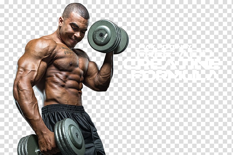 Bodybuilding transparent background PNG clipart