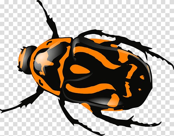 Beetle Computer Icons , Orange Bug transparent background PNG clipart