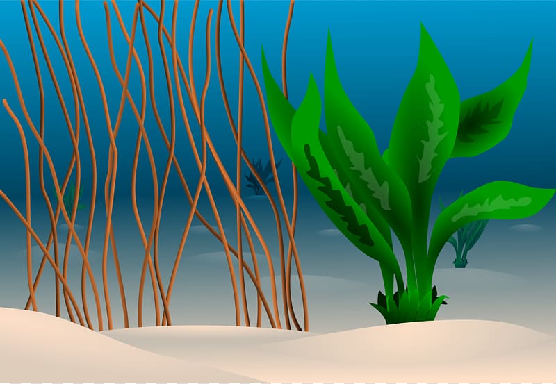 Seabed Ocean Underwater , Sea Plants transparent background PNG clipart
