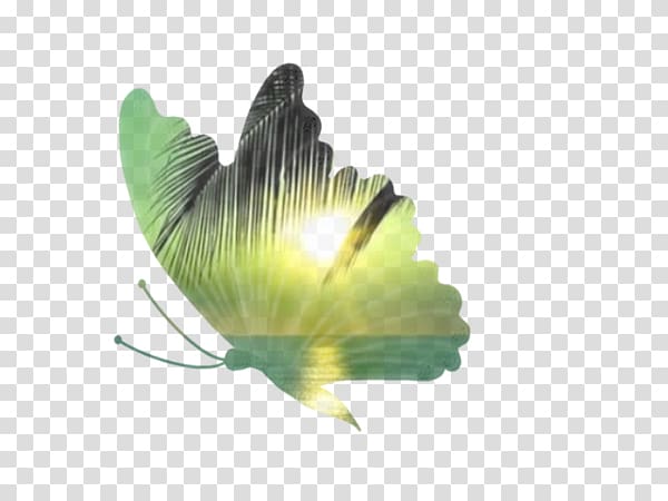 Insect Cut, copy, and paste Internet Lepidoptera, papillon book transparent background PNG clipart