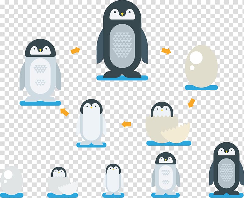 Penguin Cartoon Illustration, Hatching Penguin transparent background PNG clipart