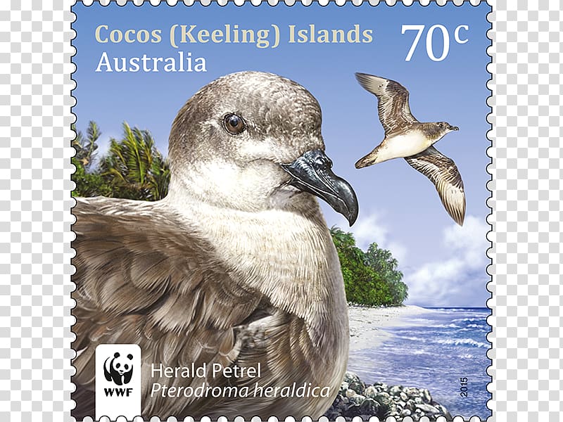 Birds of Asia and Australia Cocos (Keeling) Islands Australia Post Postage stamps and postal history of Australia, wanted stamps transparent background PNG clipart