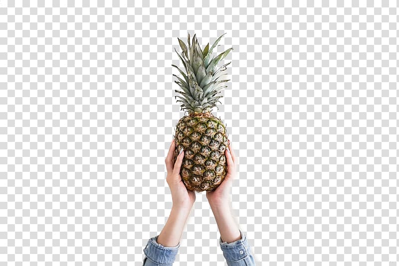 Pineapple Fruit Theme Desktop environment , Waved pineapple transparent background PNG clipart