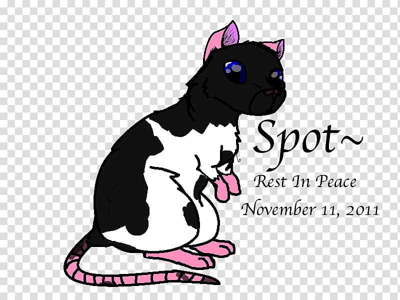 Whiskers Kitten Dog Cat , rest in peace transparent background PNG clipart