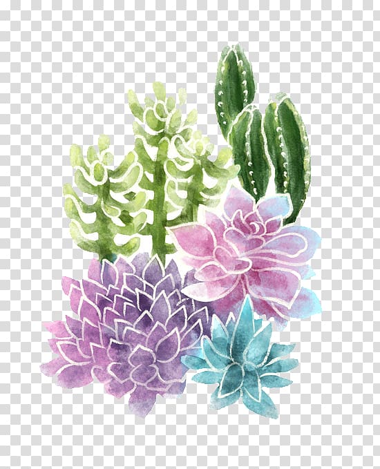 Succulent plant Cactaceae Cacti and Succulents, plant transparent background PNG clipart