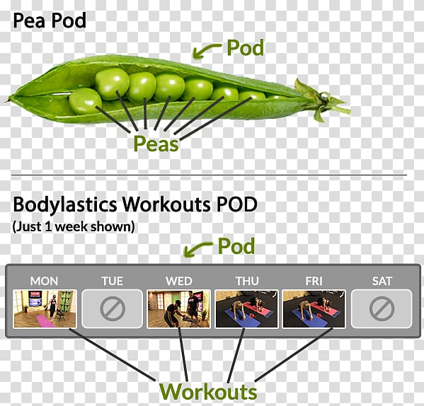 Electronic color code Resistor Exercise Bands Wiring diagram, No Rhyme Or Reason Day transparent background PNG clipart