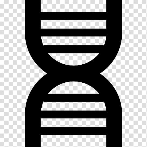 DNA Biology Nucleic acid structure Molecular Structure of Nucleic Acids: A Structure for Deoxyribose Nucleic Acid, transparent background PNG clipart