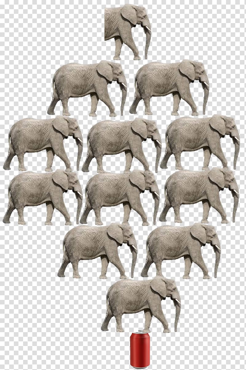 Sheep African elephant Indian elephant Herd Art, sheep transparent background PNG clipart