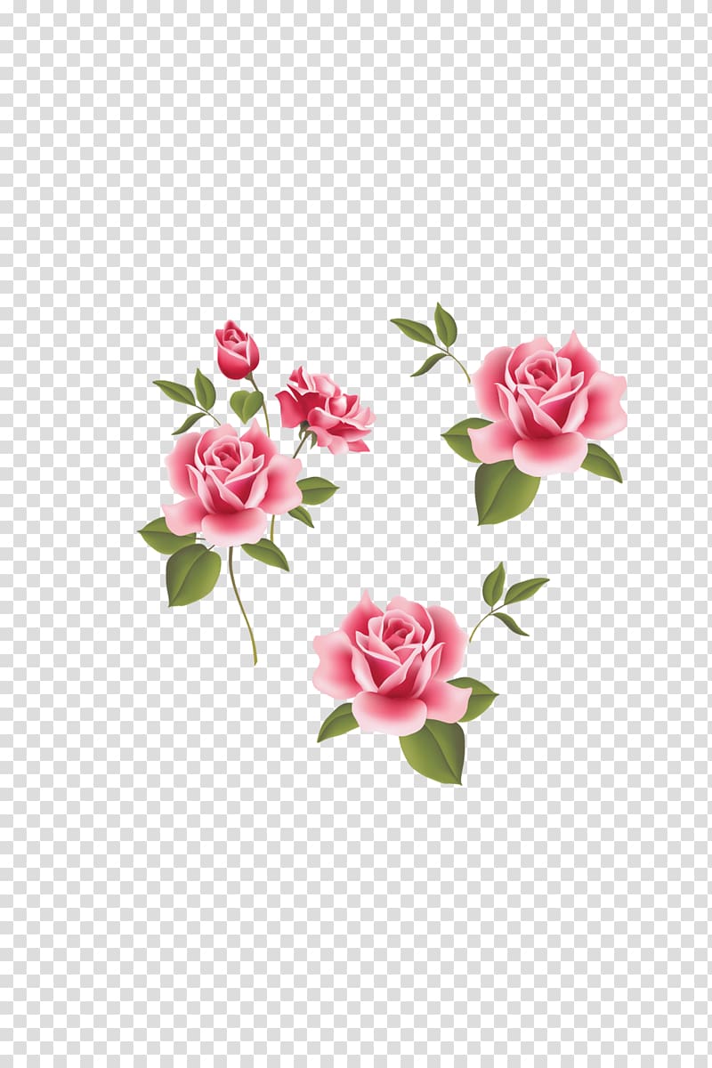 pink flowers , Garden roses Beach rose Pink Flower, Rose,Pink roses,Pink flowers,flower transparent background PNG clipart