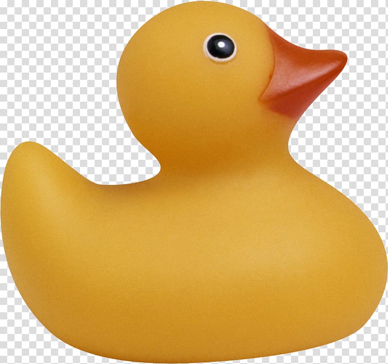 Rubber duck Toy, duck transparent background PNG clipart