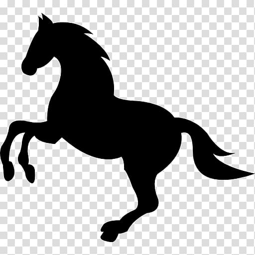 Wild horse Dog Equestrian, wild transparent background PNG clipart