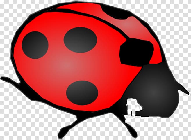 Ladybird beetle Computer Icons , beetle transparent background PNG clipart