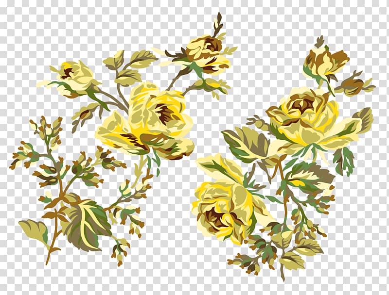 Beach rose Flower Yellow Garden roses, hand painted transparent background PNG clipart