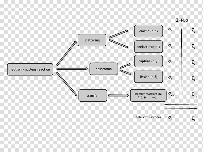 Neutron cross section Neutron cross section Neutron capture Nuclear physics, barn transparent background PNG clipart