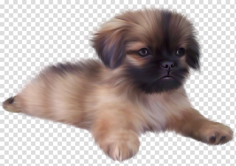 dark-brown shih tzu puppy , Yorkshire Terrier Puppy Screenshot, Painted Cute Puppy transparent background PNG clipart