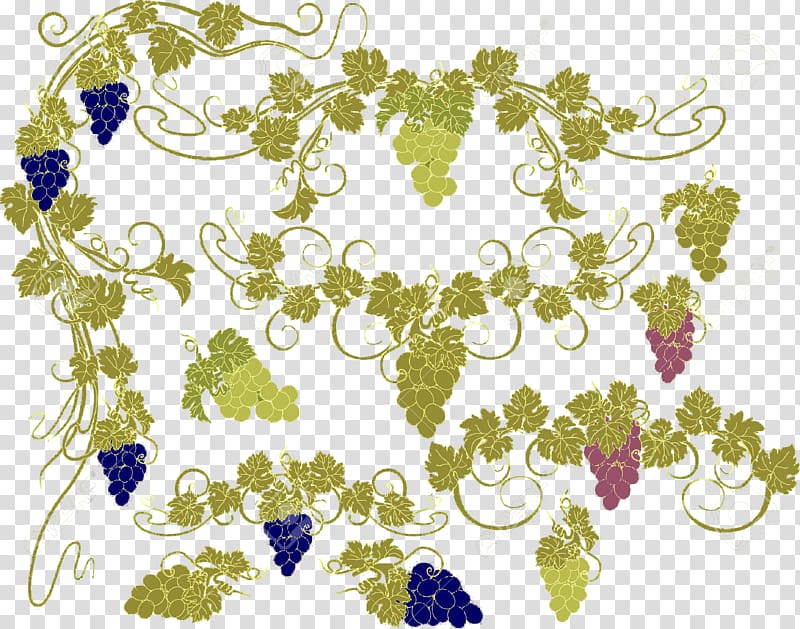 Common Grape Vine , Grapes transparent background PNG clipart