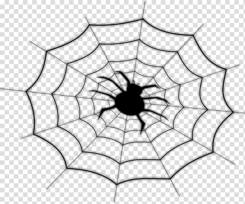 Spider-Man Spider web , spider web transparent background PNG clipart