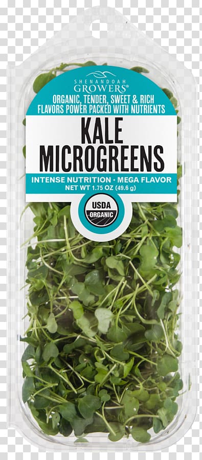 Spring greens Microgreen Herb Nutrition Leaf vegetable, kale transparent background PNG clipart