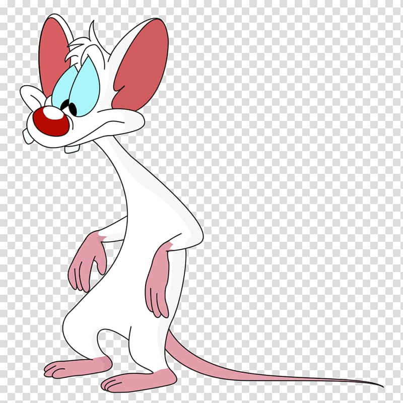 Whiskers Mouse Rat Cat Canidae, mouse transparent background PNG clipart