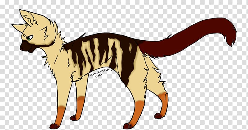 Cat Macropodidae Horse Canidae Dog, Cat transparent background PNG clipart