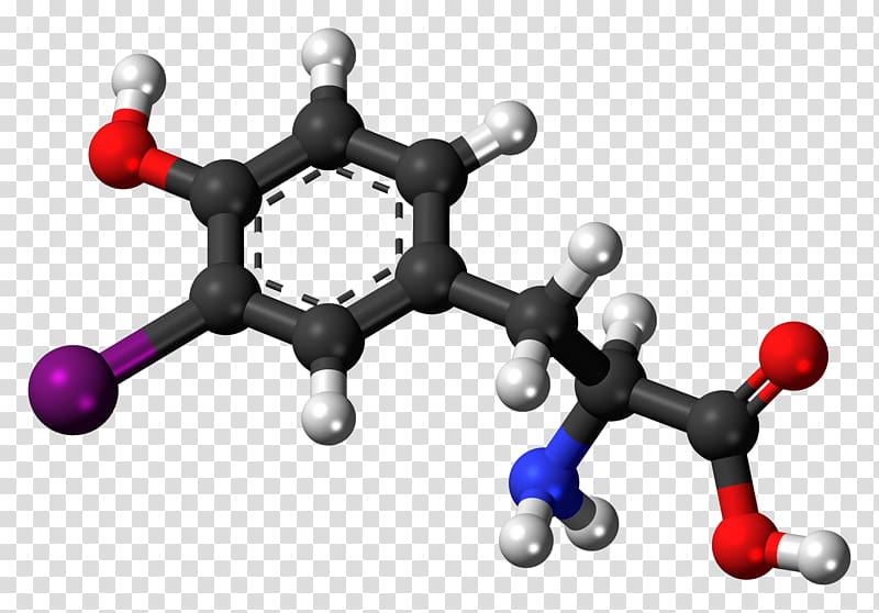 Tyrosine Reverse triiodothyronine Norepinephrine Amino acid, molecule transparent background PNG clipart