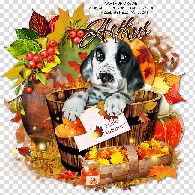Dog breed Puppy love, puppy transparent background PNG clipart