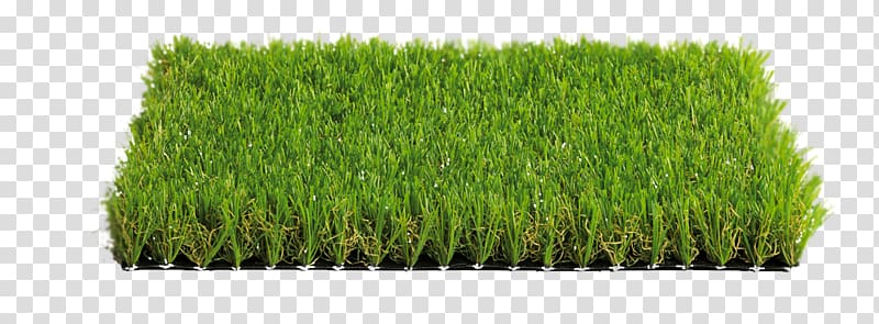 Artificial turf Italgreen SpA Meadow Prato Price, green landscape transparent background PNG clipart