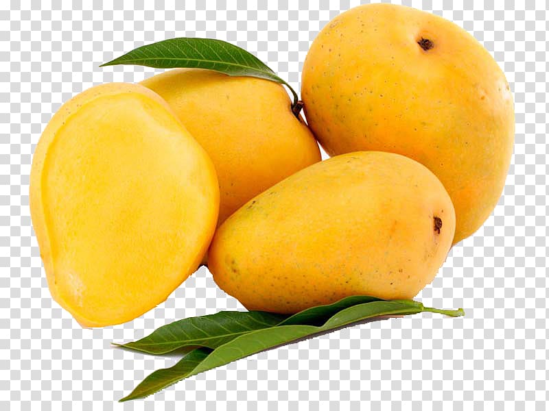 Devgad taluka Alphonso Mangifera indica Mango Fruit, mango transparent background PNG clipart