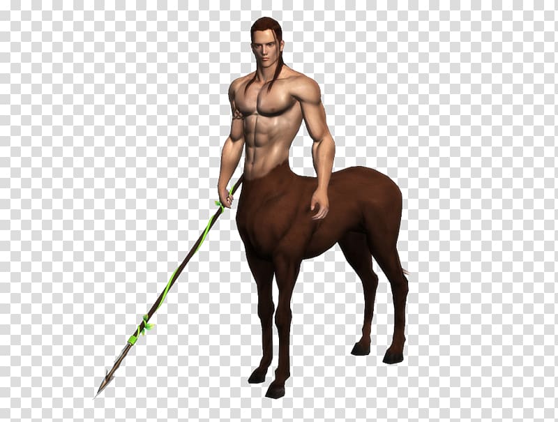 Centaur transparent background PNG clipart