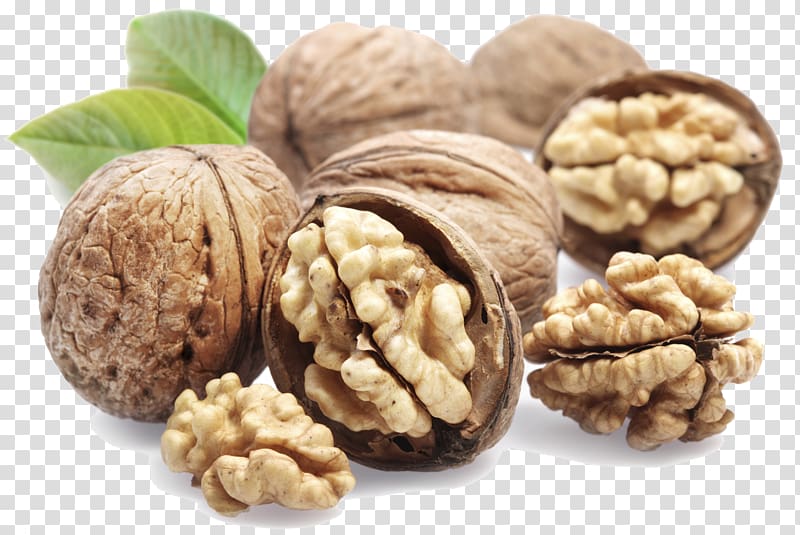 Eastern black walnut English walnut Iranian cuisine, bay transparent background PNG clipart