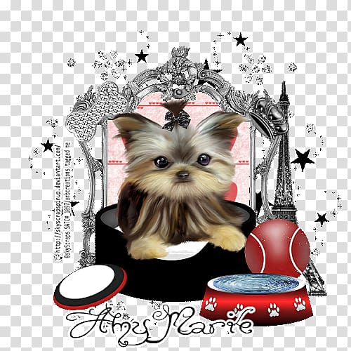 Yorkshire Terrier Puppy Dog breed Toy dog Canidae, Posh transparent background PNG clipart