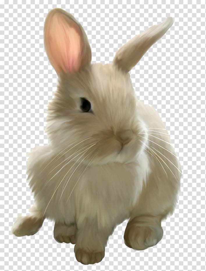 white rabbit illustration, Easter Bunny Rabbit , Easter Rabbit transparent background PNG clipart