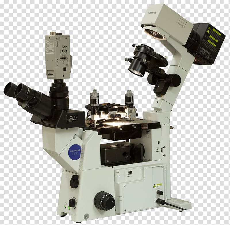 Scanning tunneling microscope Scanning probe microscopy Atomic force microscopy Optical microscope, Optical Microscope transparent background PNG clipart
