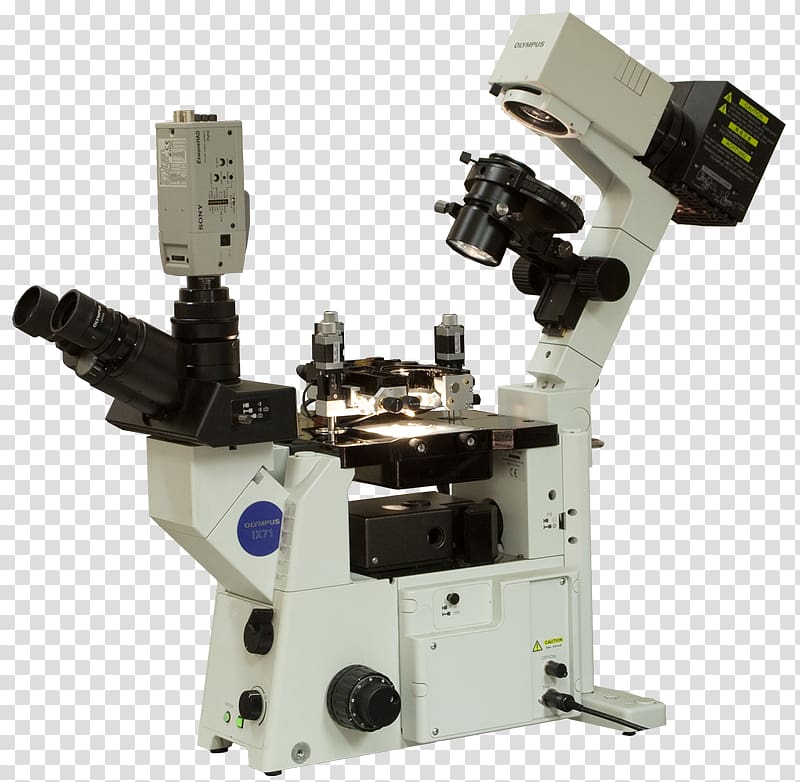 scanning-tunneling-microscope-scanning-probe-microscopy-atomic-force