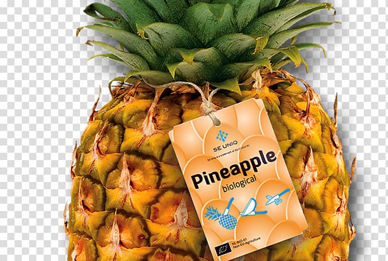 Pineapple Altrif Label BV, Etiketten & Verpakkingen Sprains and Strains Food Bromelain, pineapple transparent background PNG clipart