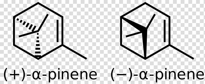 Benzyl group Biphenyl Methyl group Benzene Phenols, others transparent background PNG clipart