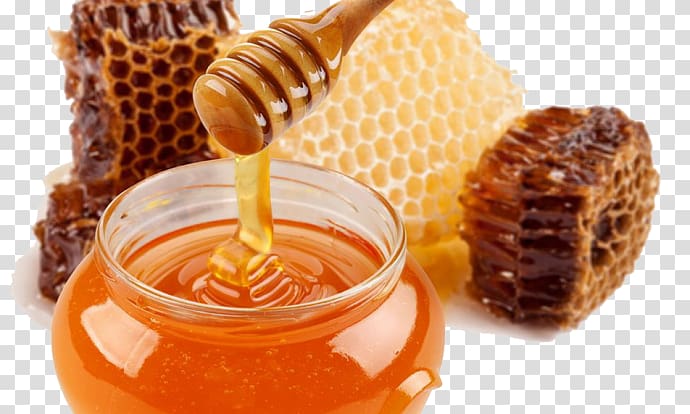 Bee Honey Food Nectar Health, bee transparent background PNG clipart