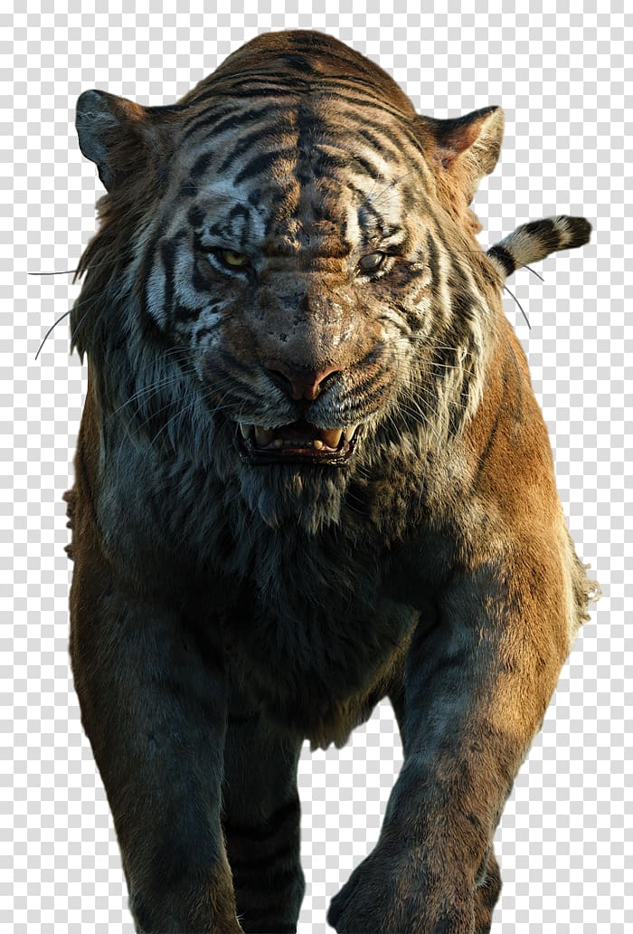 Shere Khan The Jungle Book Baloo Mowgli Bagheera, the jungle book transparent background PNG clipart