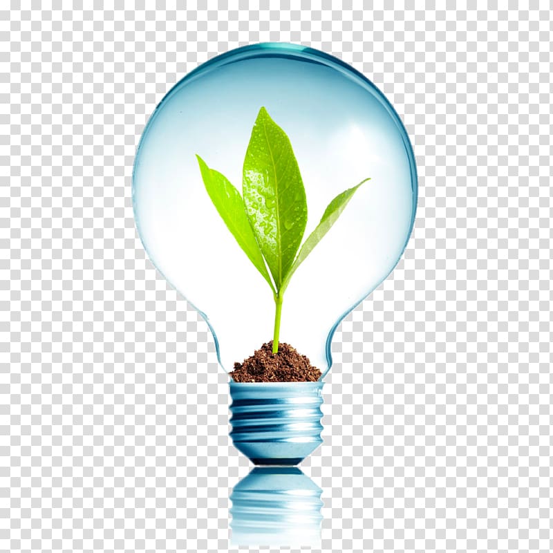 Energy conservation Efficient energy use Renewable energy Environmentally friendly, Creative bulb plants transparent background PNG clipart