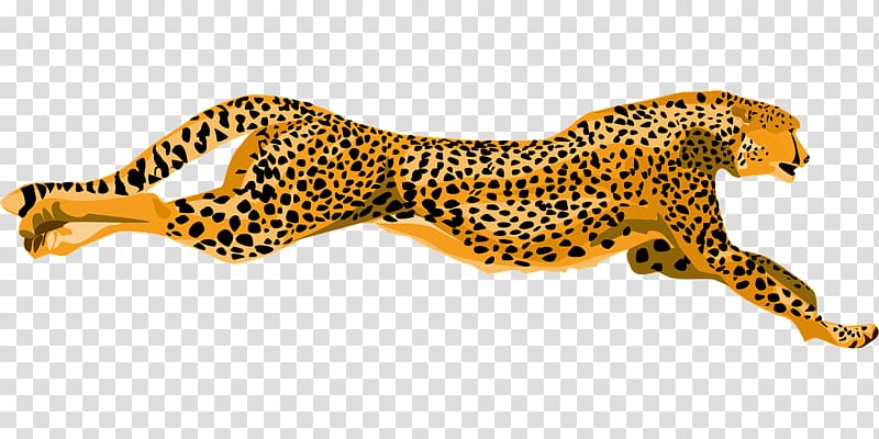 Cheetah Leopard Jaguar , Flying leopard transparent background PNG clipart