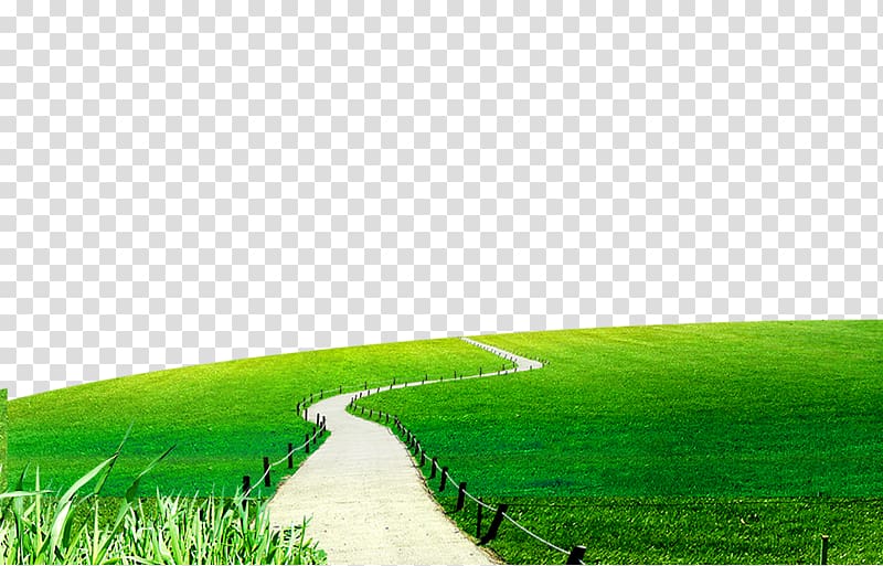 green path transparent background PNG clipart