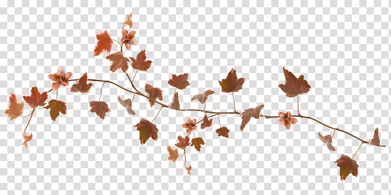 Featured image of post Leaves Png Gif free for commercial use high quality images