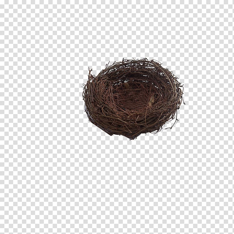 Bird nest Paper Chicken Tree, Wooden nest transparent background PNG clipart